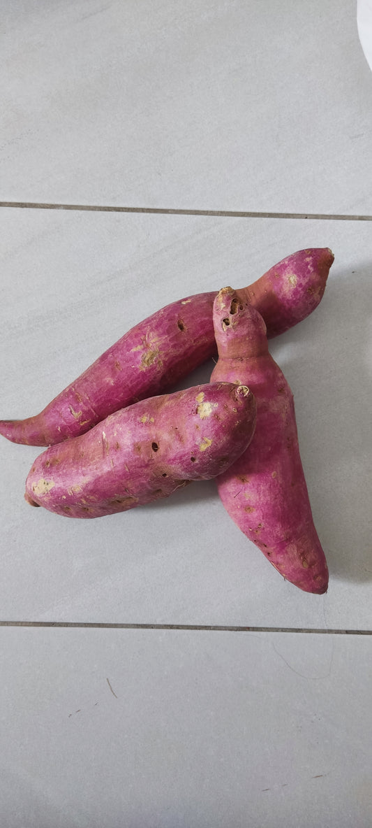 Sweet Potato